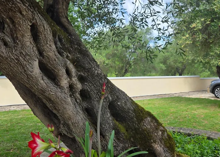 Olive Garden Villa *