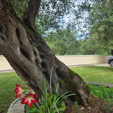 Olive Garden Villa *